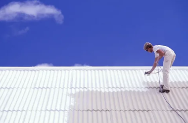 Roof Coating 1