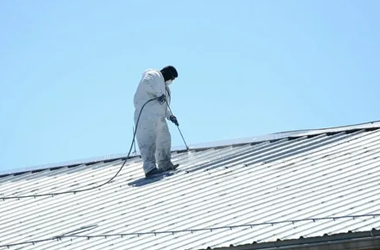Roof Coating 2