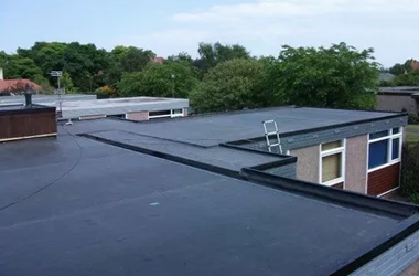 Rubber Roof1