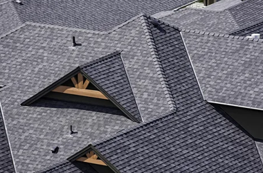 Shingle Roof 1