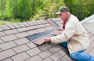 Shingle Roof1