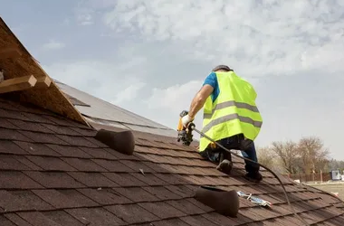 Shingle Roof2 1