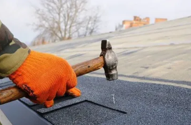Shingle Roof3