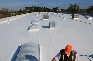 TPO Roof1 1